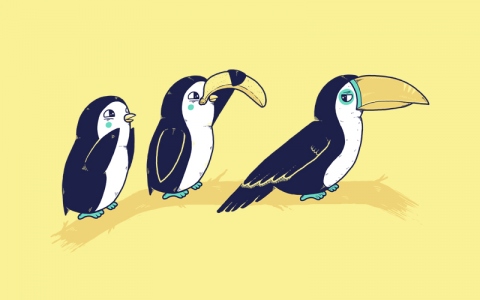 cool-funny-graphic-design-chicquero-tucan-penguin.jpg